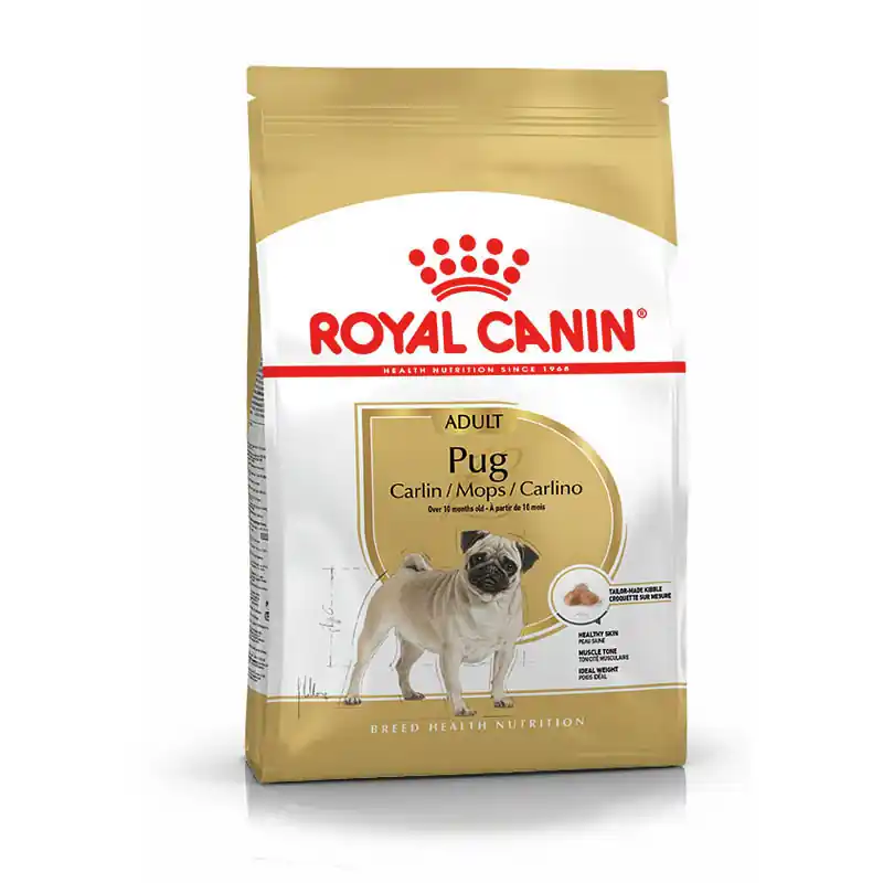ROYAL CANIN Pug Adult 3 kg Preisknaller